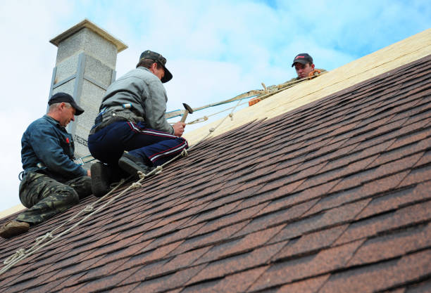 Best Gutter Installation and Roofing  in Prudenville, MI