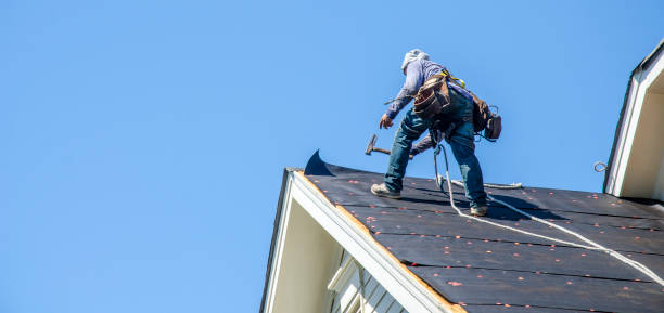Best Roof Maintenance Services  in Prudenville, MI